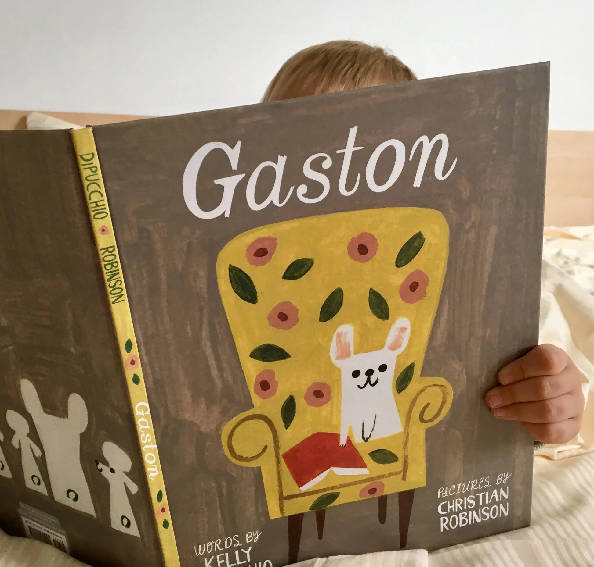 Gaston - Kelly Dipucchio - Éditions Woke Up!